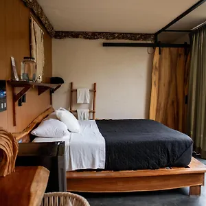Hotel Bufo Alvarius, Tulum Pueblo